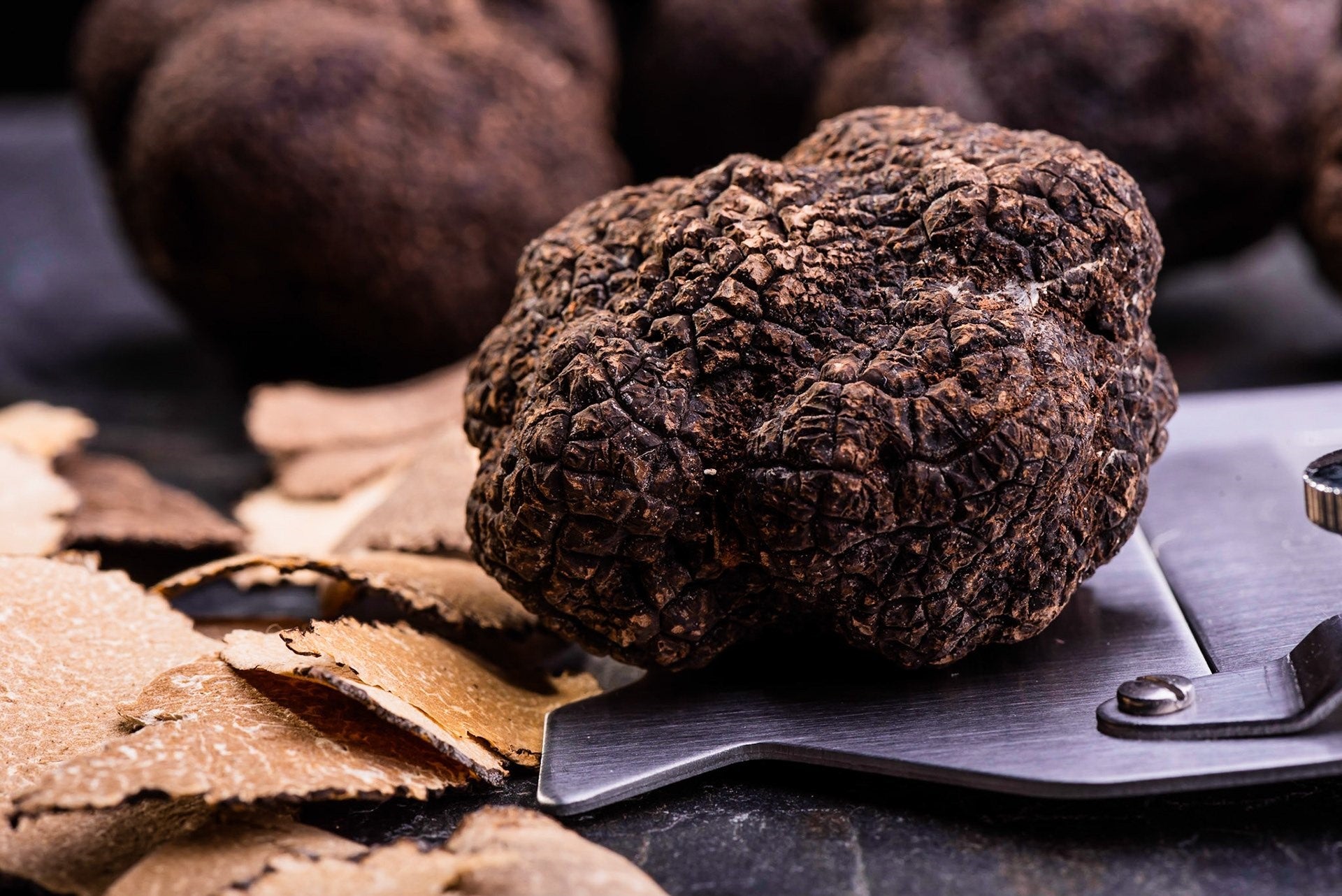 Black Truffles Toronto Canada