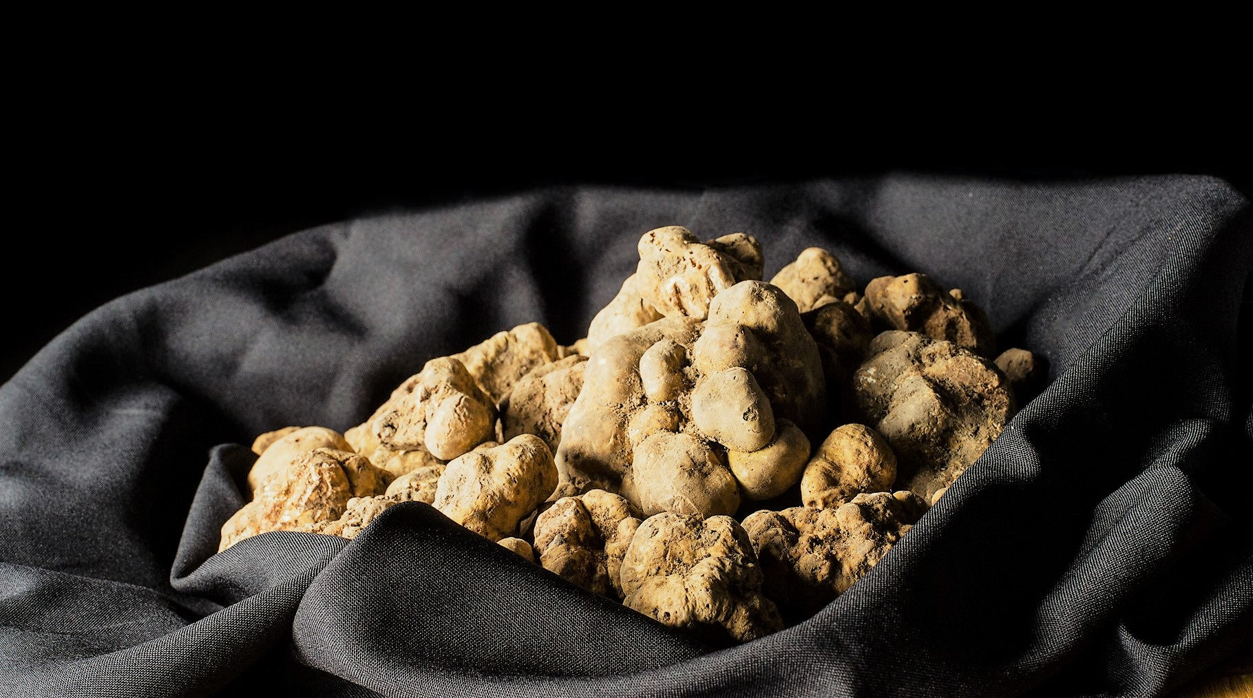 White Truffles Toronto Canada
