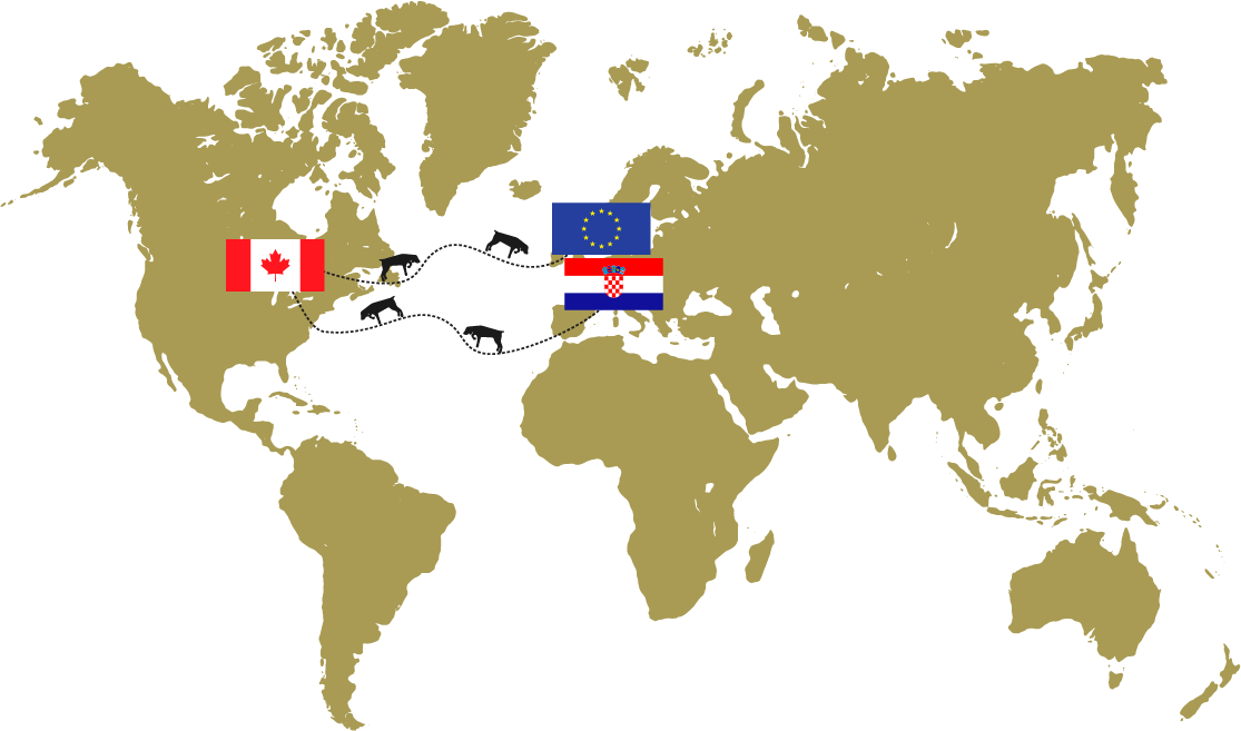 Root44 Truffle Toronto Canada Europe Map