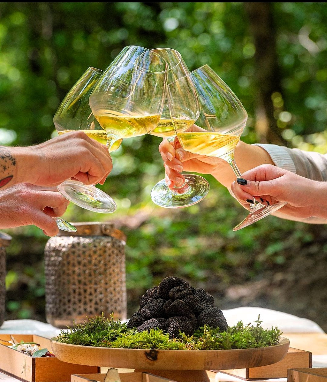 Toronto Truffle Cooking Classes, Gourmet Events & Croatia Culinary Tours | ROOT44