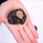 Black Truffle in Hand Gift Set Toronto Canada Order Online