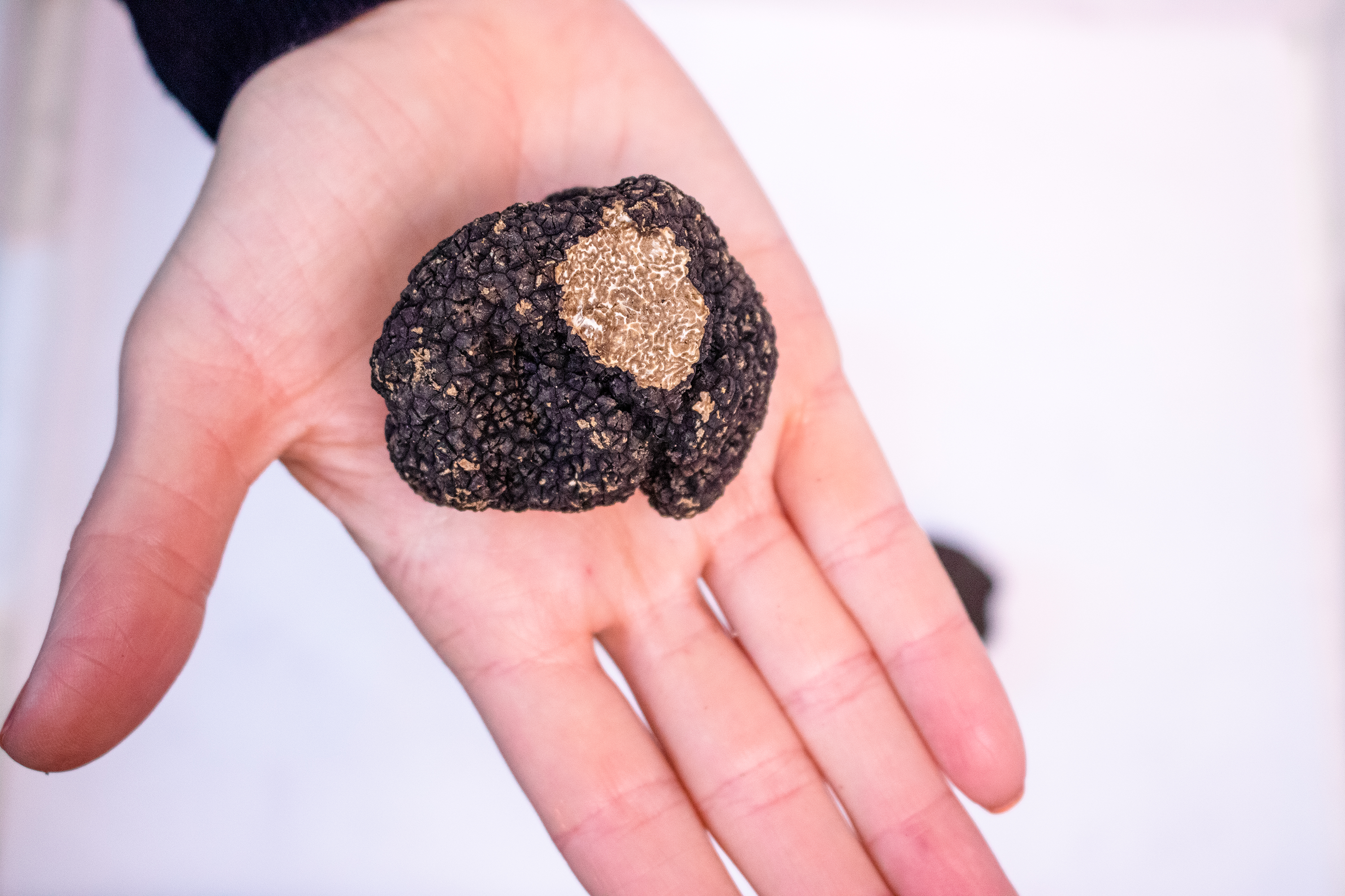 Black Truffle in Hand Gift Set Toronto Canada Order Online
